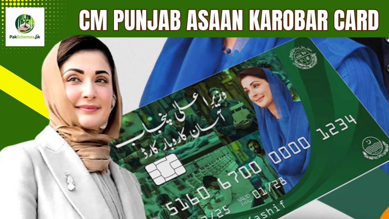 CM Punjab Asaan Karobar Card