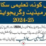 PEEF Special Quota Scholarships 2025